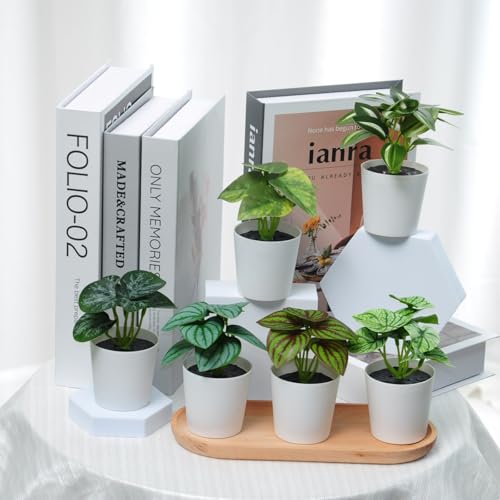 Freyalife 6 Pack Mini Artificial Potted Plants for Indoor Decor