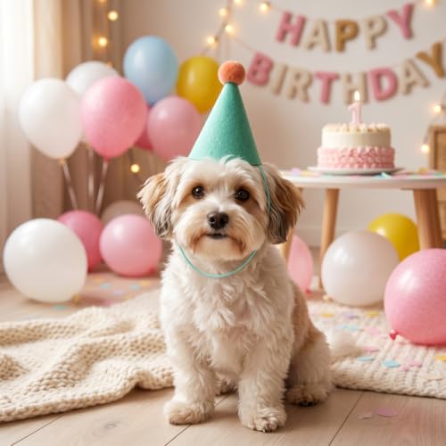 6 Mini Colorful Felt Party Hats for Pets & Dolls - Adjustable