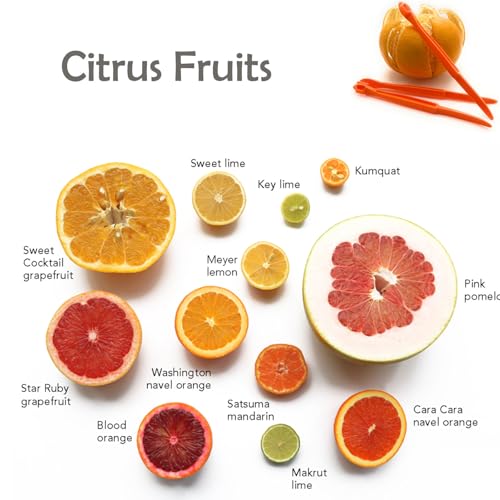 3-Pack Citrus Peeler Tools for Oranges, Lemons & Mandarins