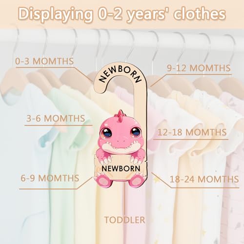 Dinosaur Baby Closet Dividers - Wooden Size Organizers for 0-24 Months
