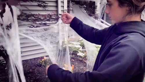 Lonesa 200 Sq. Ft White Spider Web Decoration with Spiders