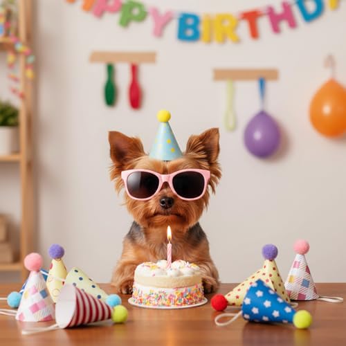 10 Cute Birthday Party Hats for Dogs and Cats