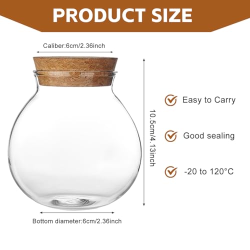 500ml Clear Glass Bottle with Cork Stopper - Refillable Storage Jar