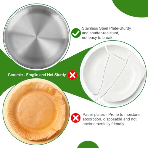 10-Inch Stainless Steel Dinner Plate - Reusable & Dishwasher Safe