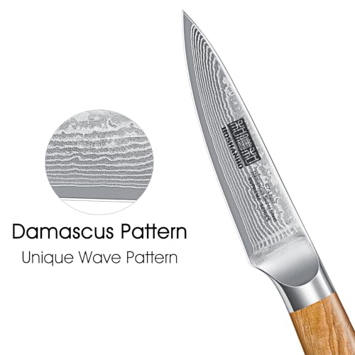 HOSHANHO Damascus Paring Knife 3.75 Inch Sharp Japanese HC Steel Fruit Knife - Unique Damascus Pattern