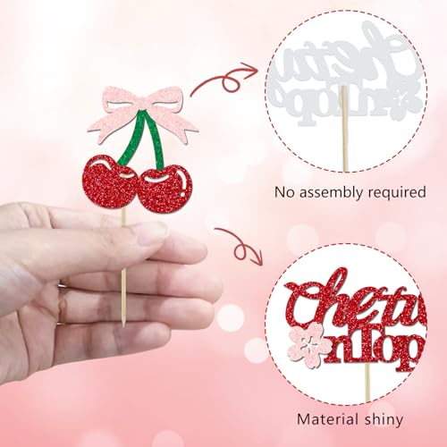 24 Pack She's the Cherry On Top Cupcake Toppers - Glitter Cake Picks