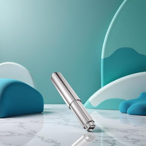 Stainless Steel Toilet Paper Holder with Spring-Loaded Design