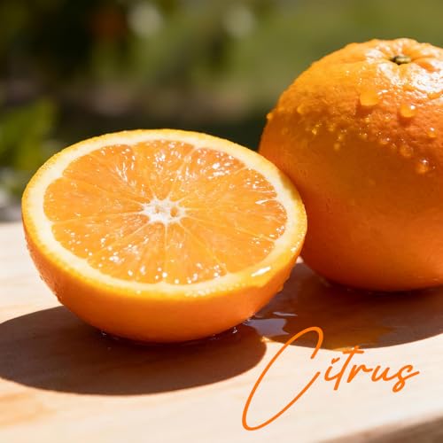 CLESH Blossom Citrus Room Spray - 4 oz Long-Lasting Air Freshener