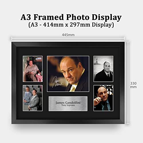 Signed James Gandolfini Sopranos Autograph Photo 16x12 Inch Framed TV Show Fan Gift