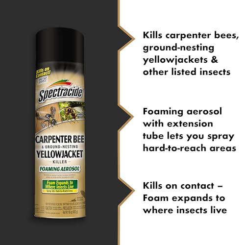 Spectracide Carpenter Bee & Yellowjacket Killer Foaming Aerosol - 16 Oz, 12 Pack