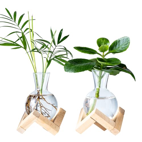 Hydroponic Propagation Station with Wooden Stand - Glass Bulb Vases