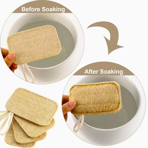 8 Natural Loofah Kitchen Sponges with Hanging Loops for Cleaning