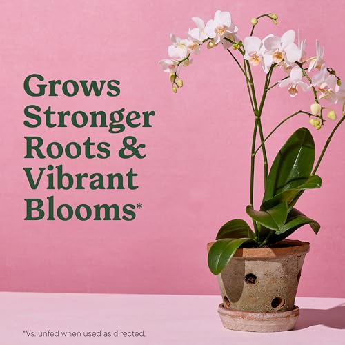 Miracle-Gro Indoor Potting Mix for Orchids, 8 Qt (2-Pack)