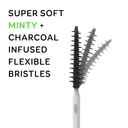 Grin Charcoal Infused Dental Picks 90 Count with Refillable Case