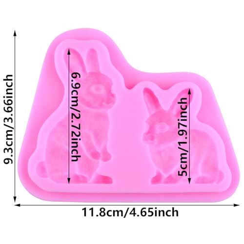 Easter Rabbit Silicone Fondant Mold for Cake & Candy Decoration