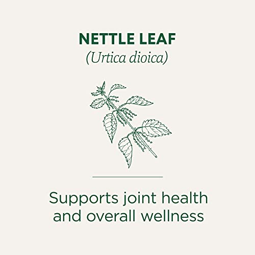 Organic Nettle Tea Bags - Traditional Medicinals, 16 Count | Herbal Tea for Detox & Wellness