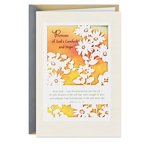 Hallmark DaySpring Religious Sympathy Card - God's Comfort and Hope