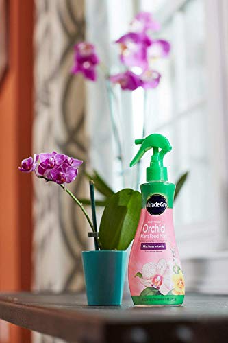 Miracle-Gro All Purpose Water Soluble Plant Food Mist 8oz Pack of 6 for Orchids