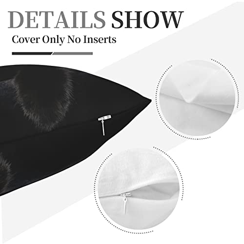 Black Cat Decorative Throw Pillow Cover - 18x18 Inch Soft Plush Case