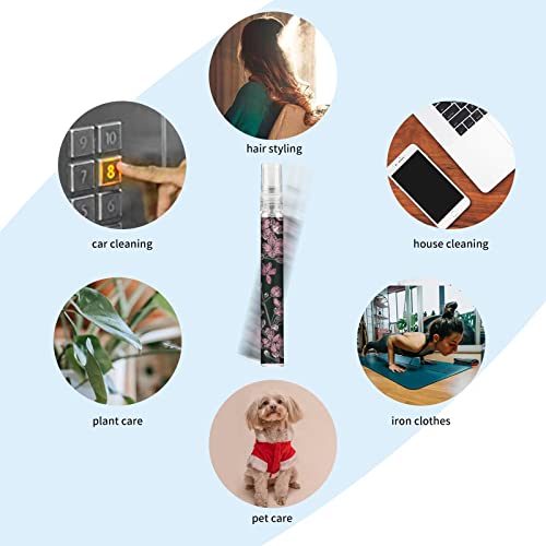 Facewegen 6 Pcs Portable Travel Refillable Perfume Atomizer 10ml