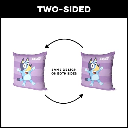 NORTHWEST Bluey Pillow, 18" x 18", Roll Call Bluey