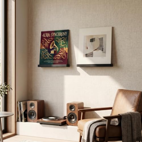 Heimlove Wall Mount Vinyl Record Shelf - Solid Wood Display, Black