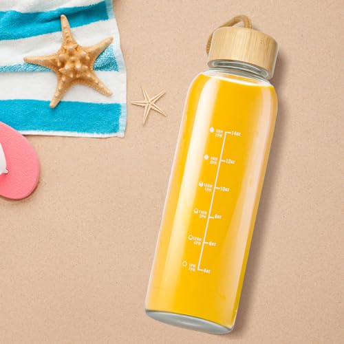 Doseno 17oz Borosilicate Glass Water Bottle with Time Marker & Carrying Strap