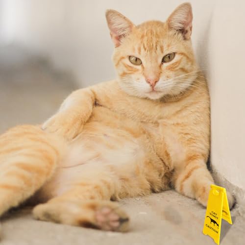 Cat Vomit Warning Sign - Humorous Gift for Cat Lovers