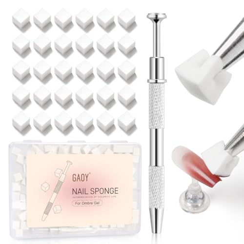 GAOY Ombre Nail Sponge Kit with Grabbing Pen and Storage Box