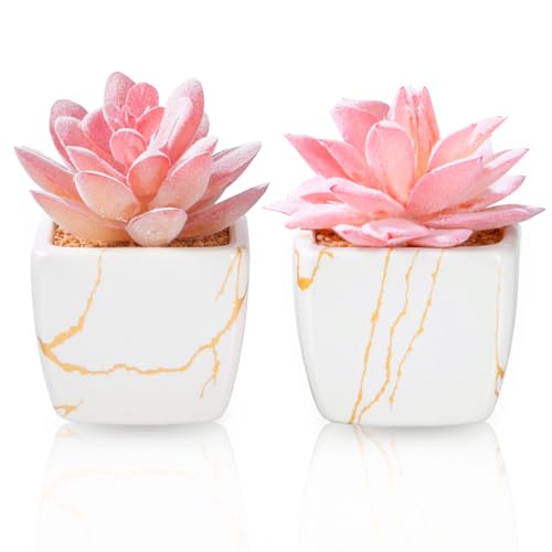 Taybonds Artificial Succulent in Elegant White Ceramic Pot - 2PCS