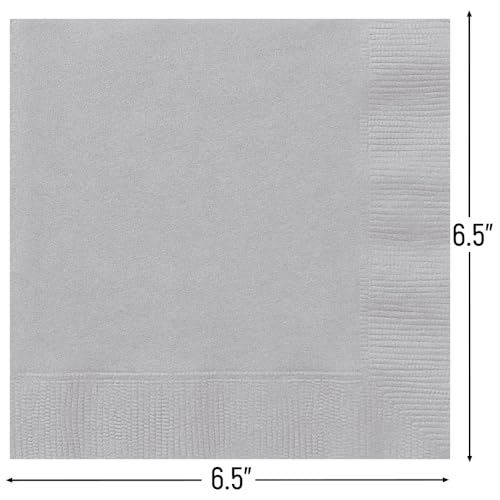Silver Luncheon Napkins - Pack of 20 - Premium 2-Ply Paper