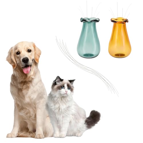 Andibro Cat Whisker Vase Set - Mini Glass Vases for Keepsakes