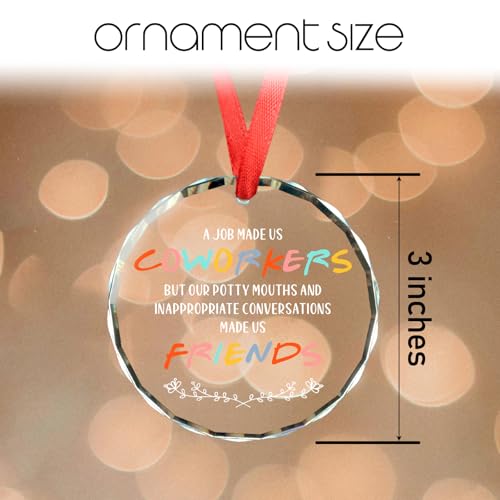Humorous Glass Ornament Farewell Gift for Coworkers & Friends