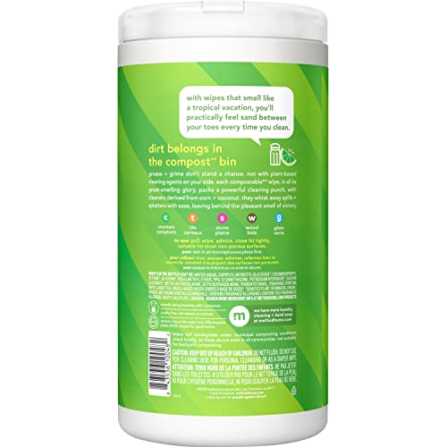 Method All-Purpose Cleaning Wipes - 70 Count (Pack of 2)