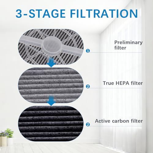 Sgizoku True HEPA Replacement Filters for Frida Baby & Rigoglioso - 2 Pack