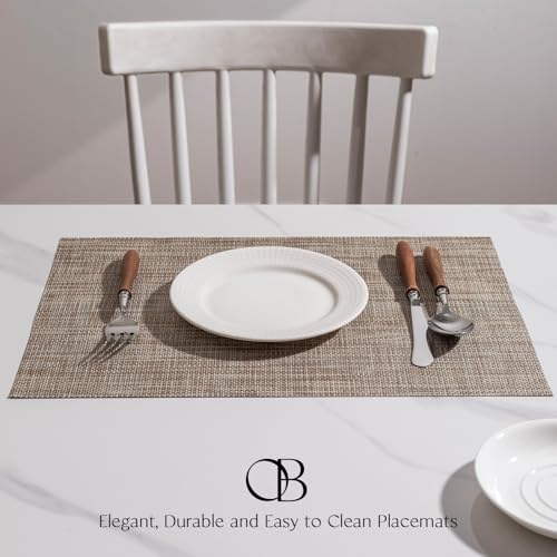 Onebento Woven Vinyl Placemats - Caramel, Set of 4, 17x12 inch Table Mats
