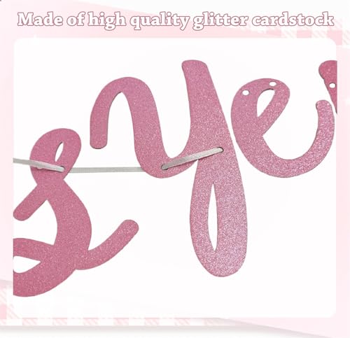Pink Bow Birthday Banner and Garland Set for Girl Party Decorations