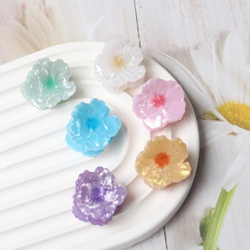 Cuizhiyu Mini Flower Hair Claw Clips Acrylic Beach Hair Accessories 6PK