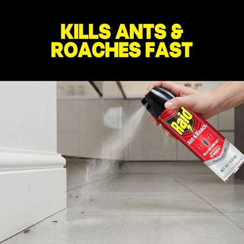 Raid Ant & Roach Killer 26, Fragrance-Free Insect Spray, 17.5 Oz (2 Pack)