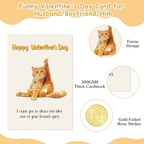 Funny Valentine's Day Card for Him - Naughty Cat Humor