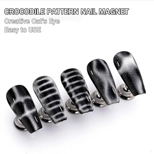 12-Piece Cat Eye Nail Magnet Set for Gel Polish Nail Art Design Tools