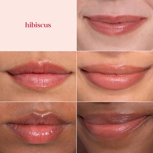 Burt's Bees 100% Natural Tinted Lip Balm, Hibiscus with Shea Butter
