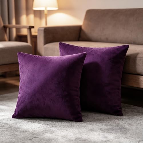 Bunliuys 2 Pack 18x18 Velvet Throw Pillow Covers - Eggplant Purple