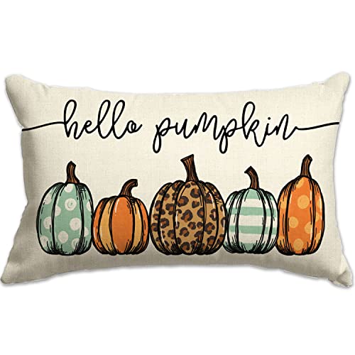 Fall Lumbar Pillow Cover Hello Pumpkin Autumn Decorative Throw Pillow