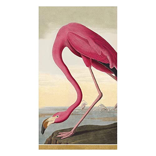 Caspari Audubon Birds Guest Towel Napkins, Triple-Ply Paper, 15 Count