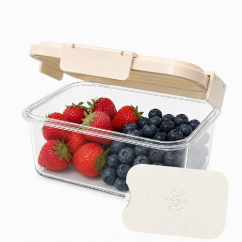 Mamalovey Snackle Box with Reusable Ice Pack - 15.2 oz, Airtight & Leakproof