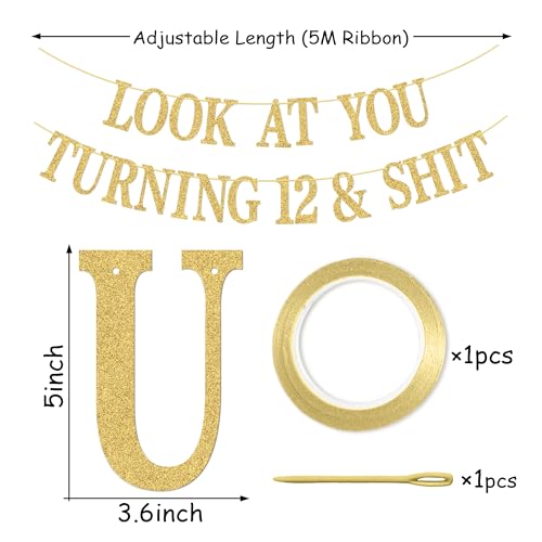 Gold Glitter Sweet 12 Birthday Banner with Hanging Kit