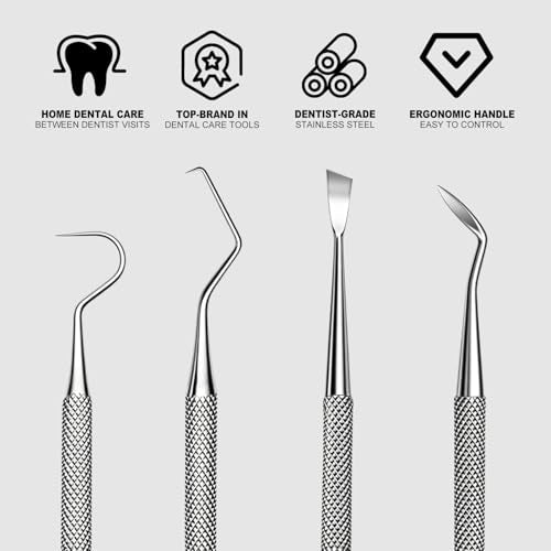 G.CATACC 2 Pack Dental Pick and Plaque Remover Kit with Travel Case