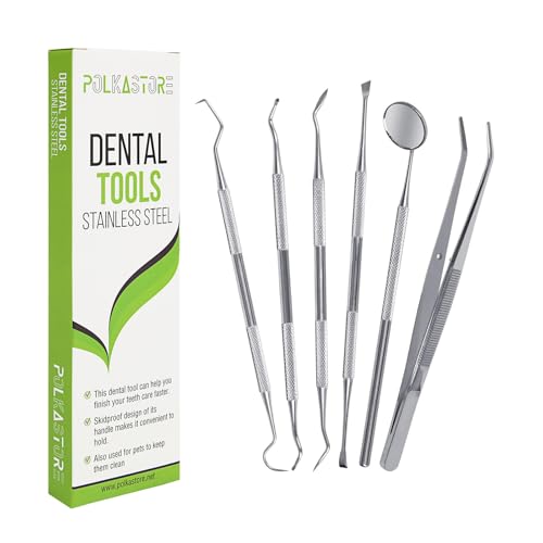Dental Tool Kit 6-Piece Stainless Steel Plaque and Tartar Remover Set