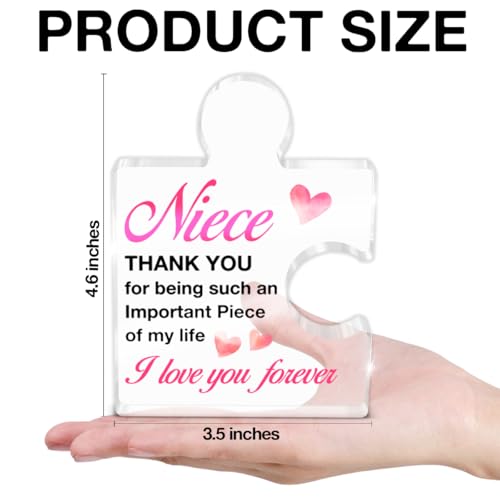 Acrylic Puzzle Piece Desk Sign - Thoughtful Niece Gift